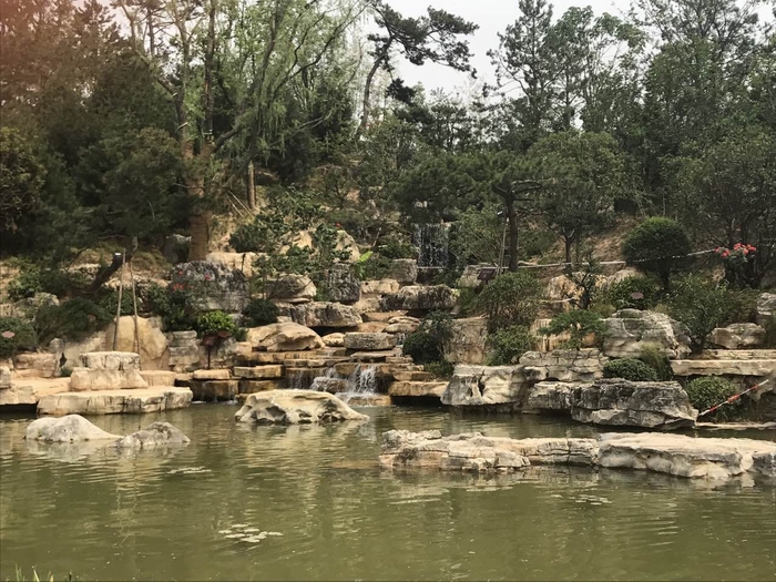 QQ圖片20170619144927.jpg